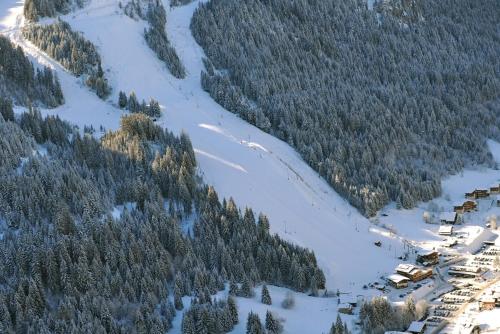 an aerial view of a ski resort in a snowy mountain at Appartement pied des pistes 6 personnes Châtel in Châtel