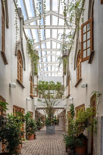 an empty hallway with plants and a glass ceiling at Hotel Parián in Mexico City