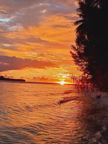 a sunset on a beach with a palm tree at Fam Homestay in Fam
