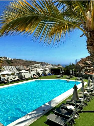 a large swimming pool with chairs and a palm tree at Canaima 112 Puerto Rico in Puerto Rico de Gran Canaria