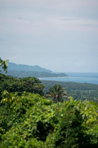 a view of the ocean and a palm tree at Canto Tayrona Ecolodges in Buritaca