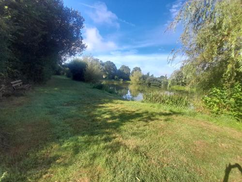 ein Grasfeld neben einem Fluss in der Unterkunft Le Zébresse in Combrand