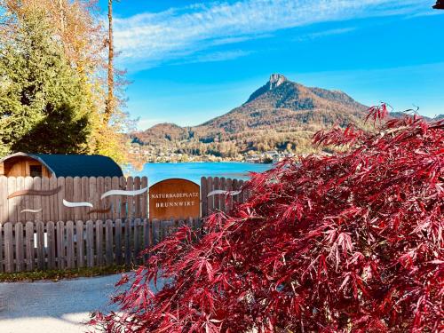 a pile of red leaves next to a fence and a mountain at Brunnwirt ESSEN & WOHNEN in Fuschl am See