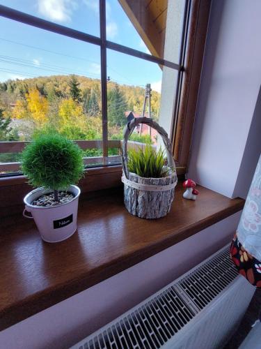 two potted plants sitting on a window sill at Domek na Leśnej Wisła in Wisła
