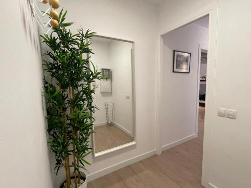 a hallway with a mirror and a plant at 15 min en metro a Sagrada Familia in Sant Adria de Besos