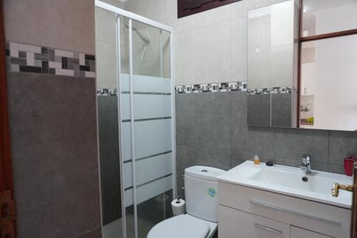 Un baño con inodoro, lavabo y ducha. en Holiday House La Noria, en San Sebastián de la Gomera