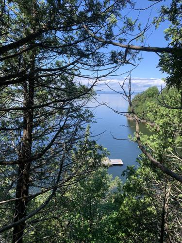 a view of a lake through the trees at Finlays Cove on the Lake in Colchester