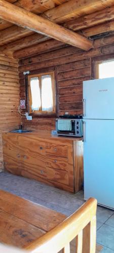 a kitchen with a refrigerator and a microwave in a cabin at La Escondida in Tunuyán