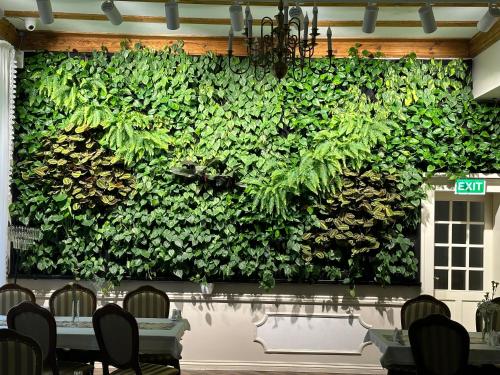 a wall covered in green plants in a restaurant at Hotel Willa Starosty in Międzyrzecz