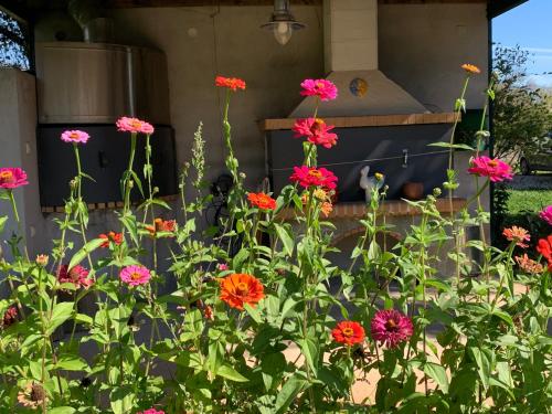 a group of flowers in front of a stove at Aelias home in Eleoúsa