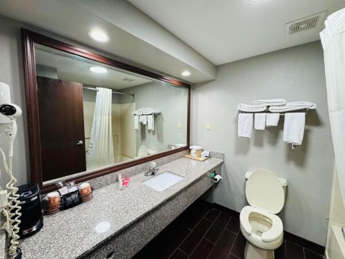 Bilik mandi di Econo Lodge Inn & Suites