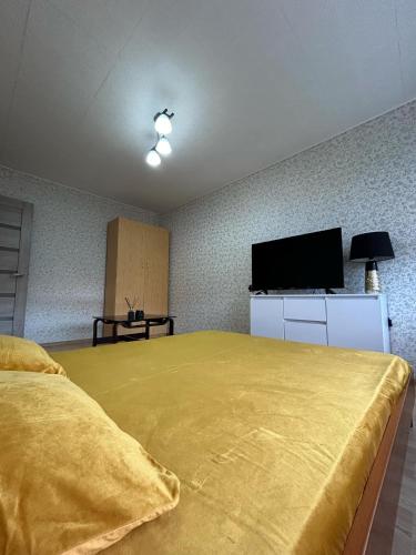 TV a/nebo společenská místnost v ubytování Vieno kambario apartamentai Telšiuose
