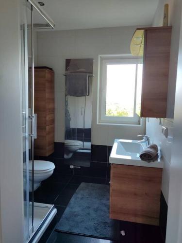 a bathroom with a toilet and a sink and a window at Appartement im bayerischen Wald in Untermitterdorf