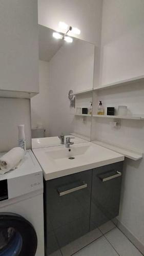 une salle de bain avec un lavabo et une machine à laver dans l'établissement Dassaut - Toulouse - CI - 2 pièces spacieux avec grande terrasse et vue dégagée, à Toulouse