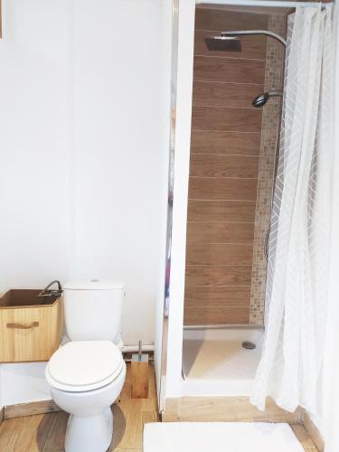 une salle de bain avec toilettes et douche dans l'établissement Petit Nid Urbain Proche RER, 25min Paris Centre Chambre privée et SDB privée indépendante, à Stains