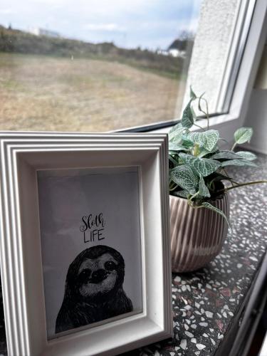 a picture in a picture frame next to a plant at Pension FAULPELZ - Budget Apartment mit Küche, Badewanne in Niederorschel