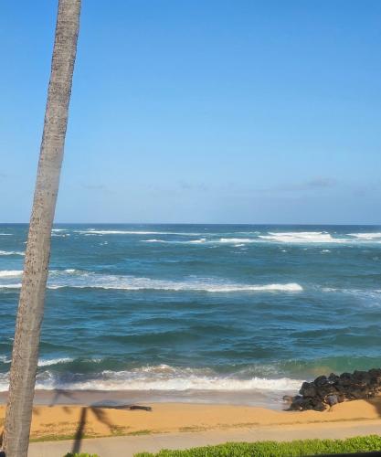 a view of the ocean from a beach with two palm trees at Pono Kai Resort #A101 - A Welcoming 2 Bdrm - 2 Bath, Private Beachfront Vacation Home in Kapaa