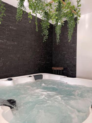 un bain à remous avec des plantes suspendues dans l'établissement Magnifique villa avec jacuzzi, à Bourgheim