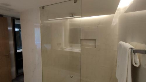 a bathroom with a shower with a glass door at Alia Inn Boutique WTC in Mexico City