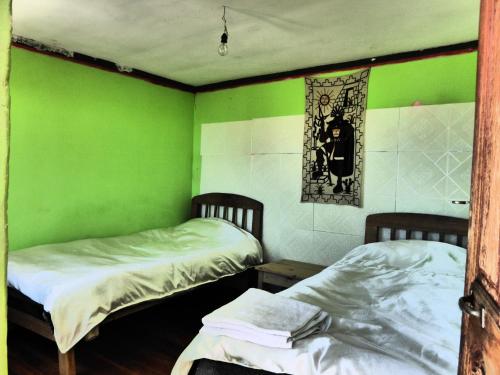 two beds in a room with green walls at Hostal Amanecer in Comunidad Yumani