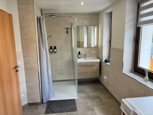 un bagno con doccia e lavandino di 4 Sterne FeWo Rhönland-Erlebnis in Bernshausen - auch für Wanderreiter a Bernshausen