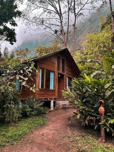 a small wooden house in the middle of a forest at Hotel El Abrazo del Arbol in Mindo