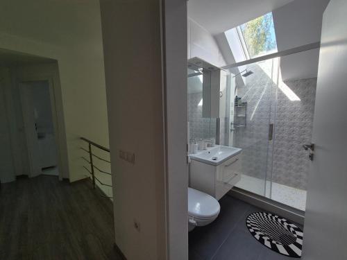 a bathroom with a toilet and a sink and a window at Vila Yolo Valea Avrigului in Porumbacu de Sus