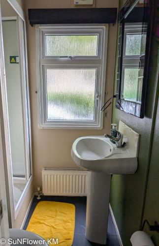 a bathroom with a sink and a window at Sunflower in Lytchett Minster