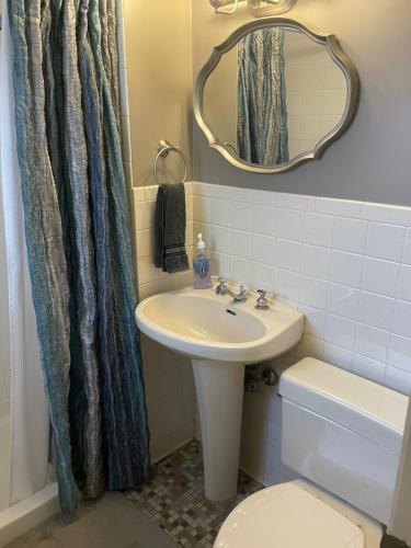 a bathroom with a sink and a mirror and a toilet at Family friendly spacious with jacuzzi & fireplace! in Dubuque