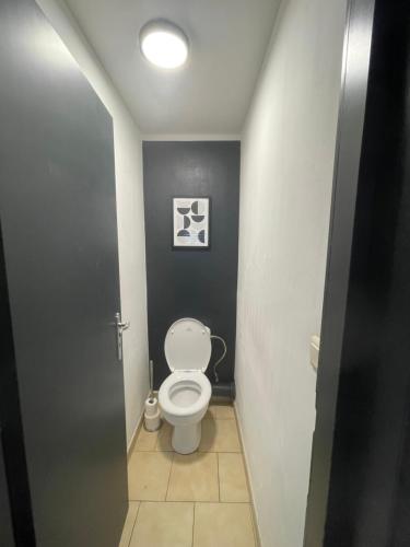 a bathroom with a white toilet in a room at Résidence iguanodon Maria in Bernissart