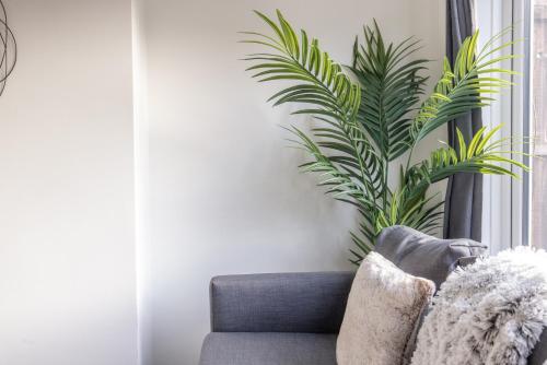 a living room with a couch and a plant at Modern 3 Bed House-Free Parking in Cramlington