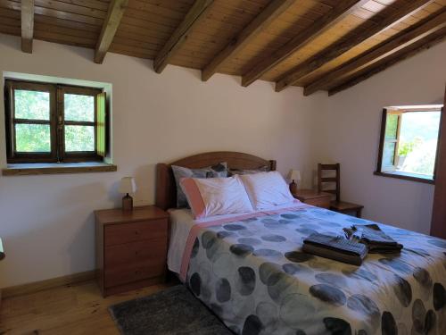 una camera da letto con un letto e due finestre di Casa da Esperança a Lousã