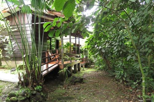 a building with a porch in the middle of a forest at Hotel Brisas del Rio Guápiles in Jiménez