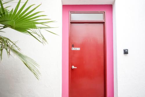 a red door next to a white wall with a plant at Casa Morelos StayHouse in San Luis Potosí