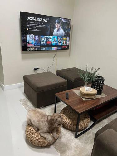 a living room with a dog laying on the floor at 2-Bedroom Condo in Antipolo with Nature or Farm View in Antipolo