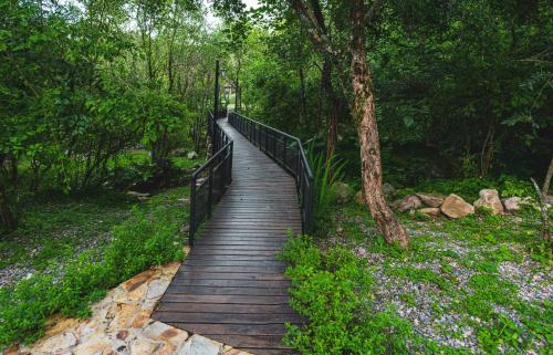 a wooden path in a park with a bridge at RUNA YAKU KAUNAZ in Salta
