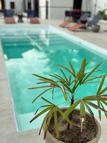 Piscina en o cerca de CKC Pousada