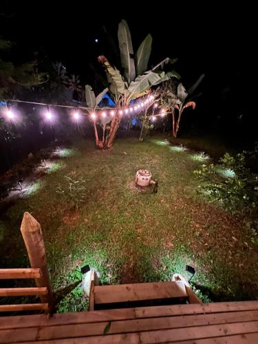 a garden at night with lights on the grass at Cabaña & glamping para grupos de 4 a 6 personas, cerca al parque y con avistamiento de aves in Jardin