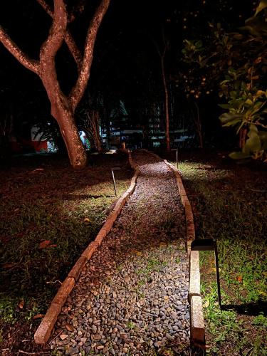a path in a park at night with a tree at Cabaña & glamping para grupos de 4 a 6 personas, cerca al parque y con avistamiento de aves in Jardin