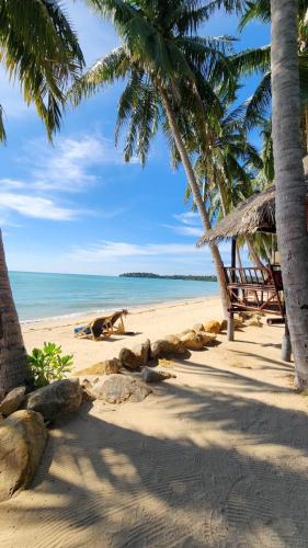a bench on a beach with palm trees and the ocean at Castaway Beach Bungalows in Srithanu