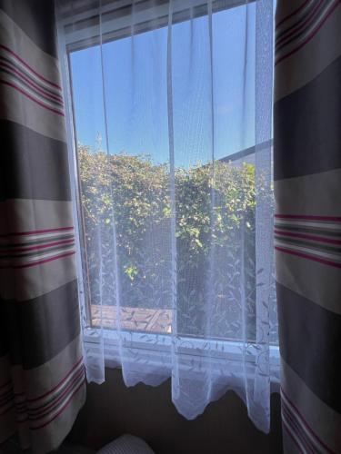 a window with a view of a garden at Flower Bay in Prestatyn