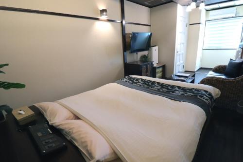 TV a/nebo společenská místnost v ubytování Spa & HOTEL La fontaine