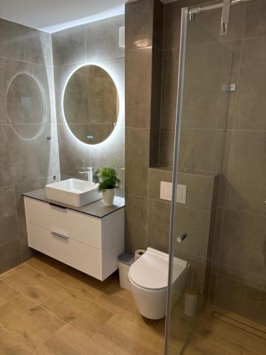 a bathroom with a toilet and a sink and a mirror at Gilės namai in Kaunas