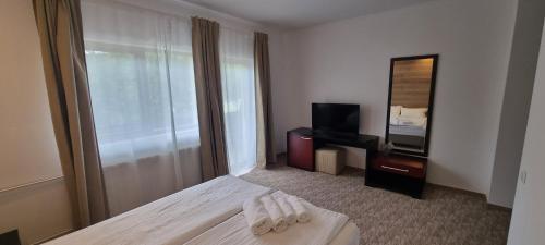a hotel room with a bed and a television at Del Monte Predeal in Predeal
