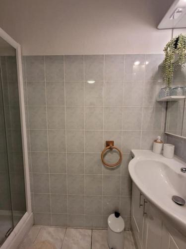 une salle de bain avec douche et lavabo dans l'établissement Cosy appartement Embrun centre, à Embrun