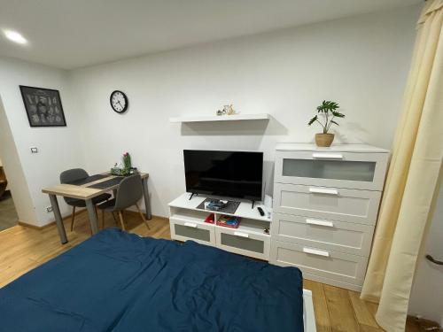 a bedroom with a bed and a dresser with a tv at Byt 1+KK in Karlovy Vary