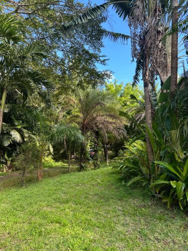 Zahrada ubytování Domaine du Cachet