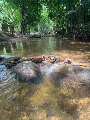 a stream of water with rocks in the middle at River Chalet Kemangi Valley Baling in Kampong Kemangi