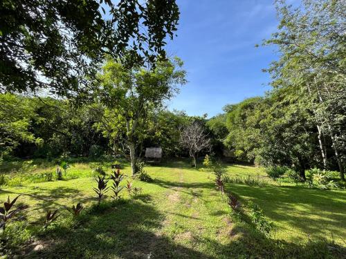 a garden with trees and grass and a field at River Chalet Kemangi Valley Baling in Kampong Kemangi