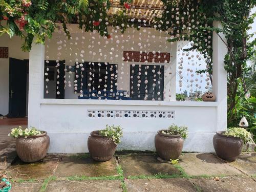 Taman di luar House on the hyll